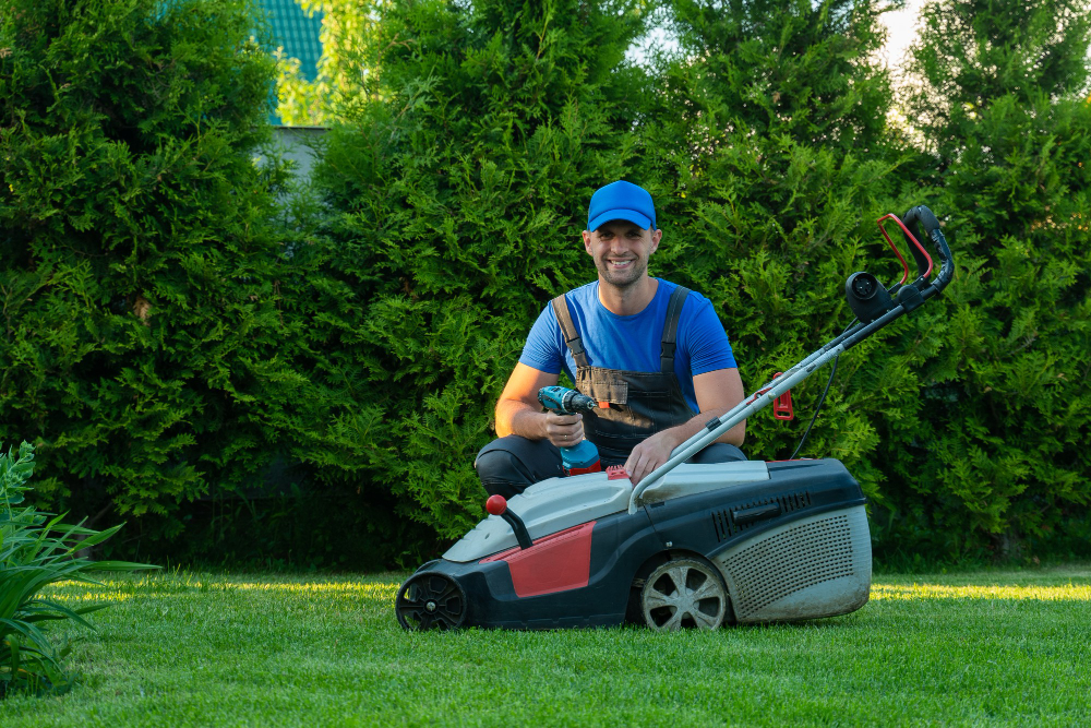 How Much Should You Budget For Landscaping Services?